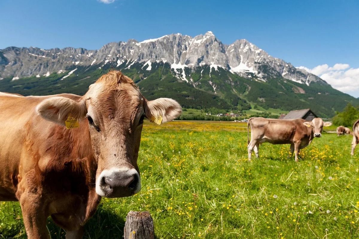 Busreise Die Erlebniswelt Steiermark