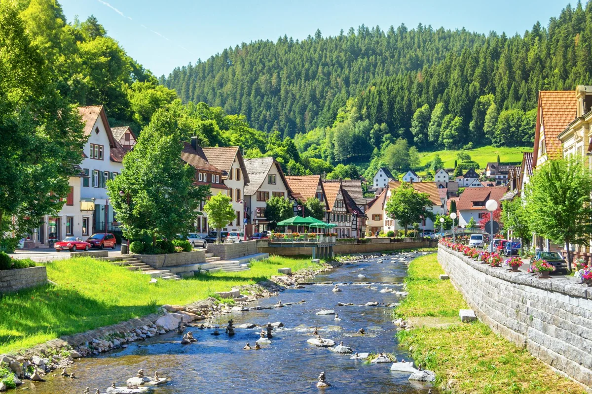 Busreise Singlereise Schwarzwald