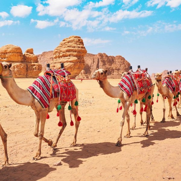 Saudi-Arabien - Ein geschichtsträchtiger Urlaub