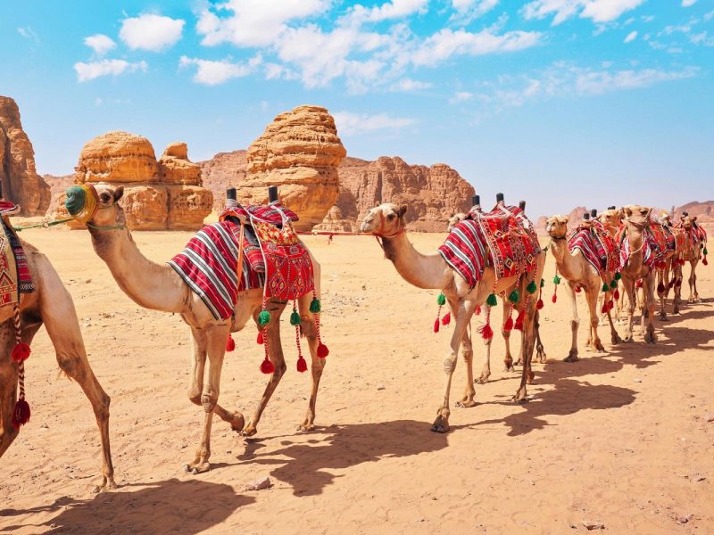 Saudi-Arabien - Ein geschichtsträchtiger Urlaub