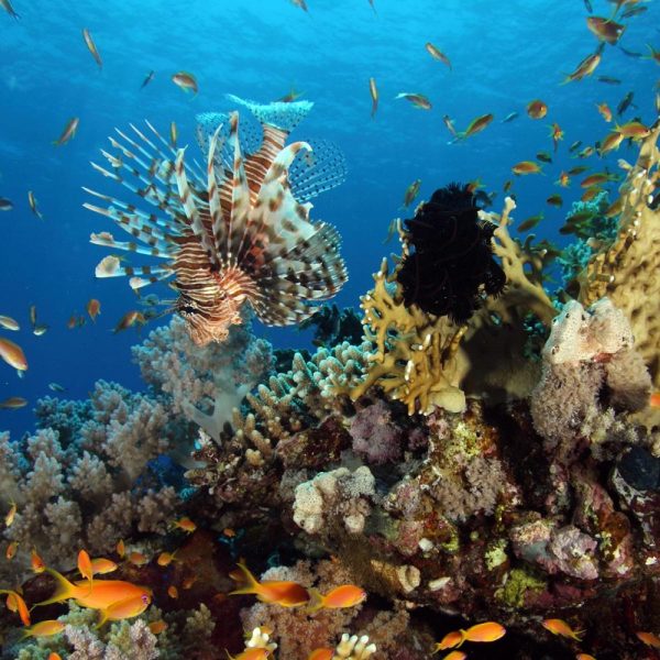 Saudi-Arabien - Ein geschichtsträchtiger Urlaub