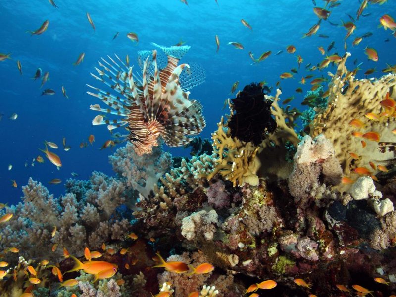 Saudi-Arabien - Ein geschichtsträchtiger Urlaub