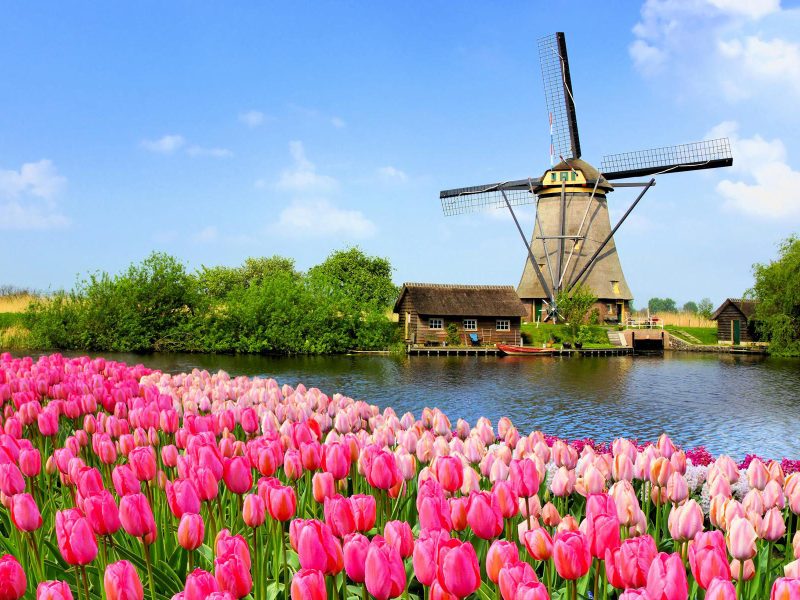 Flusskreuzfahrt Tulpenträume in Holland - Farbenprächtige Tulpenfelder