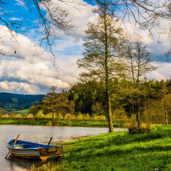 Busreise Ostern im Schwarzwald - Idyllischer Schwarzwald © pixabay