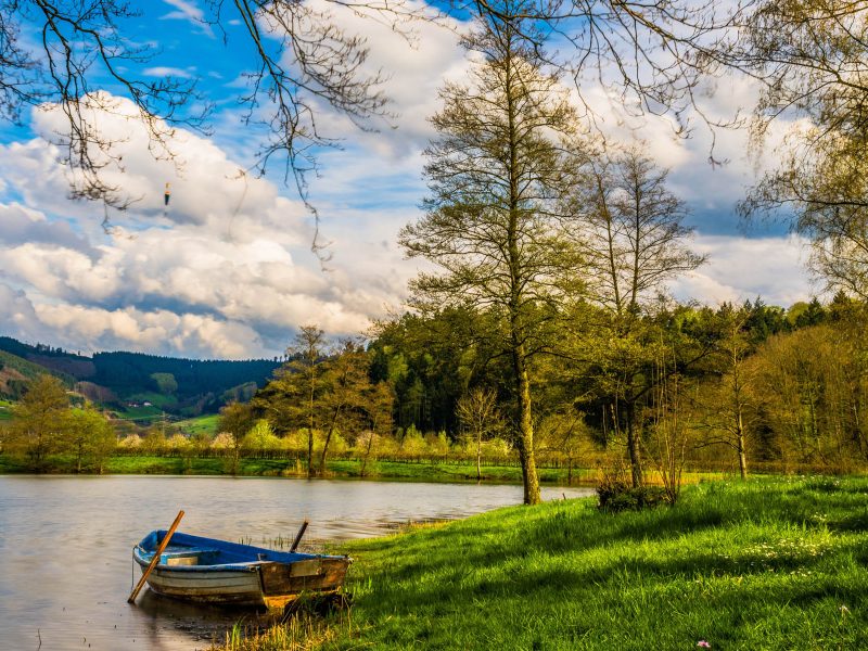 Busreise Ostern im Schwarzwald - Idyllischer Schwarzwald © pixabay