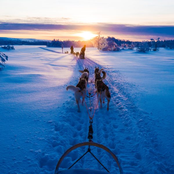 Busreise Finnische Winterträume - Traumhafte Landschaft auf der Eiskreuzfahrt