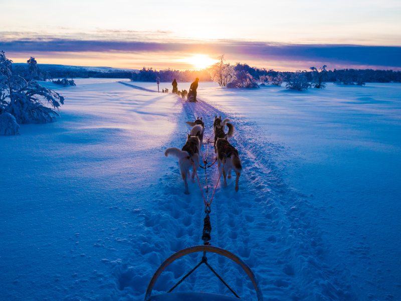 Busreise Finnische Winterträume - Traumhafte Landschaft auf der Eiskreuzfahrt