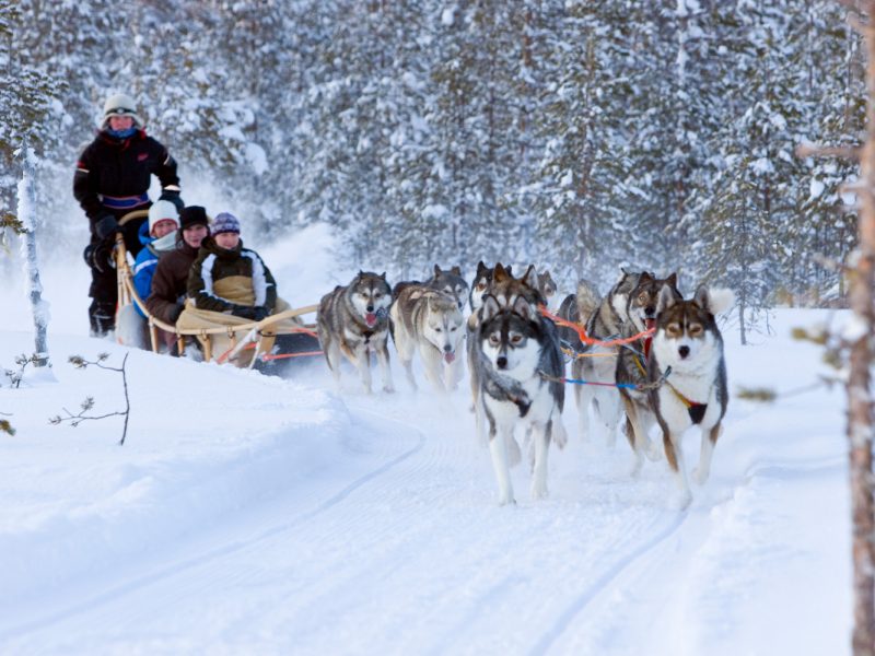 Busreise Finnische Winterträume - Husky Tour © Rovaniemi Tourism & Marketing Ltd.