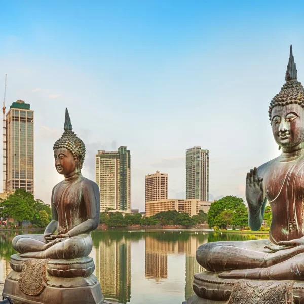 Sri Lanka - Die Perle des Indischen Ozeans