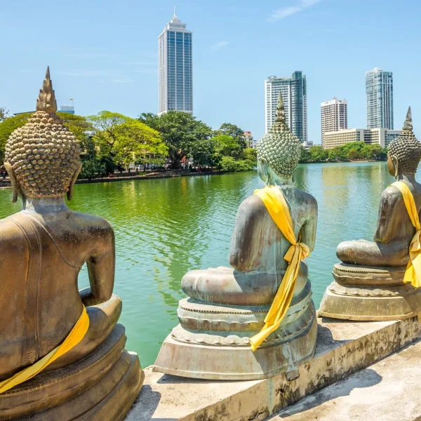 Sri Lanka - Die Perle des Indischen Ozeans