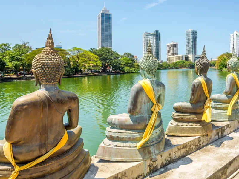 Sri Lanka - Die Perle des Indischen Ozeans