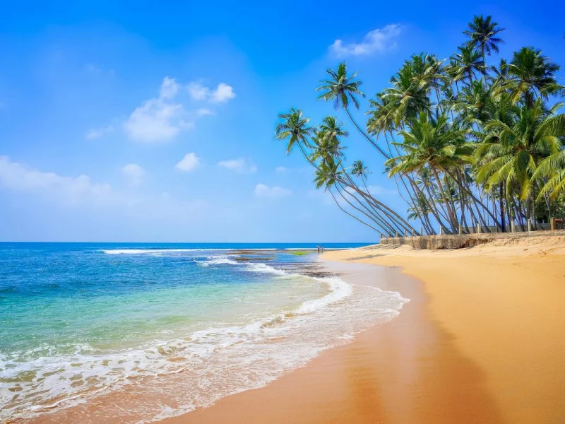 Sri Lanka - Die Perle des Indischen Ozeans