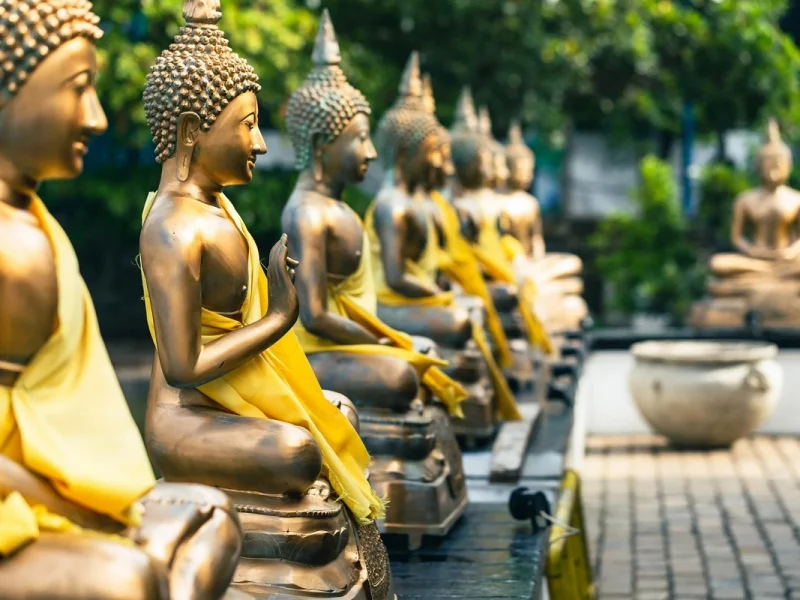 Sri Lanka - Die Perle des Indischen Ozeans