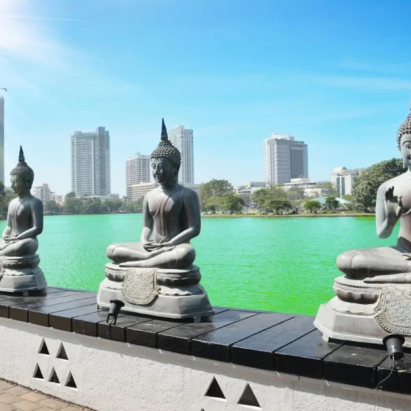 Sri Lanka - Die Perle des Indischen Ozeans