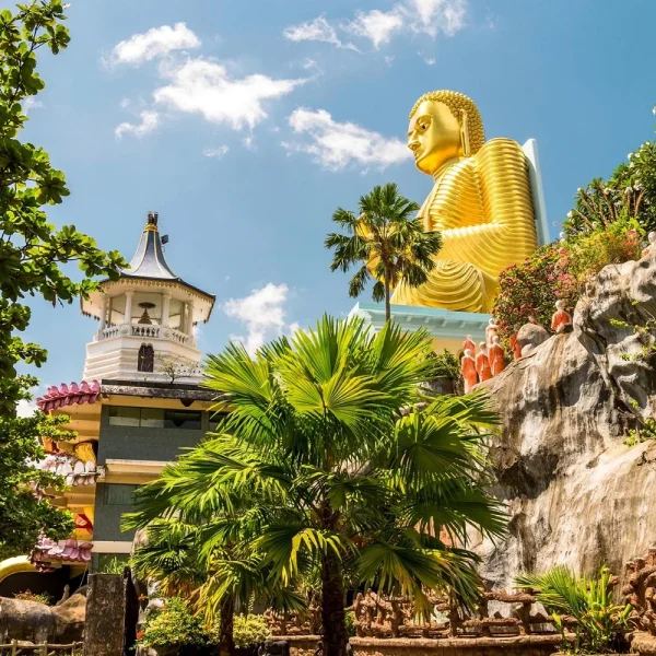 Sri Lanka - Die Perle des Indischen Ozeans