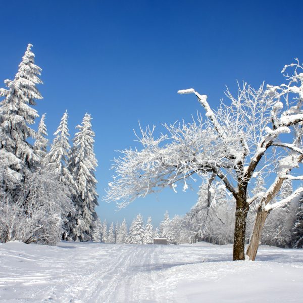 Busreise Silvesterreise im Erzgebirge - Idyllische Schneelandschaft im Erzgebirge © henryn0580 - Fotolia