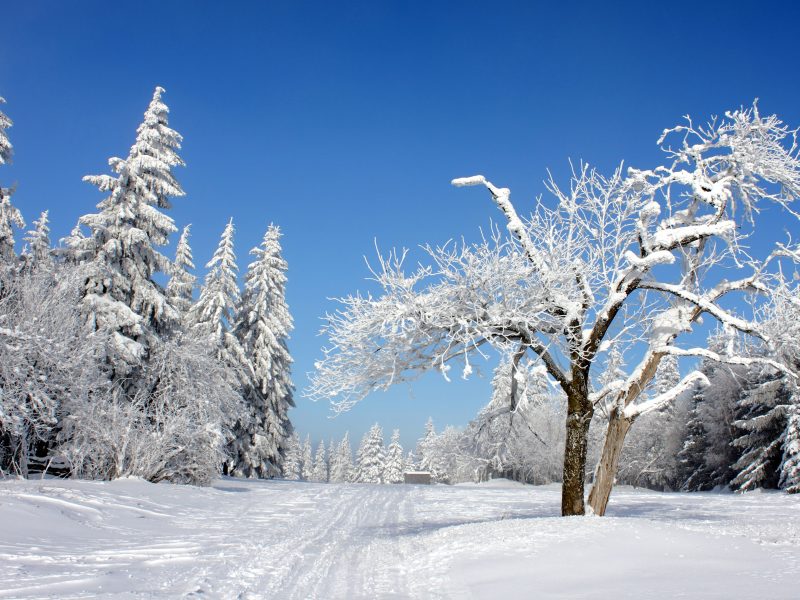 Busreise Silvesterreise im Erzgebirge - Idyllische Schneelandschaft im Erzgebirge © henryn0580 - Fotolia