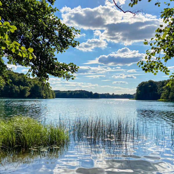 Busreise Quer durchs nördliche Brandenburg - Genießen Sie die idyllische Landschaft und Ruhe auf ihrer Schiffsfahrt