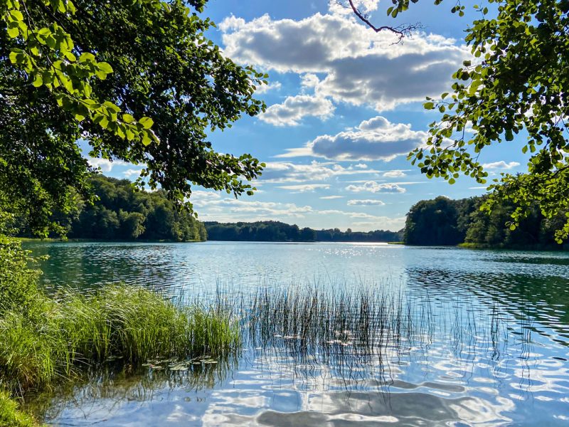 Busreise Quer durchs nördliche Brandenburg - Genießen Sie die idyllische Landschaft und Ruhe auf ihrer Schiffsfahrt