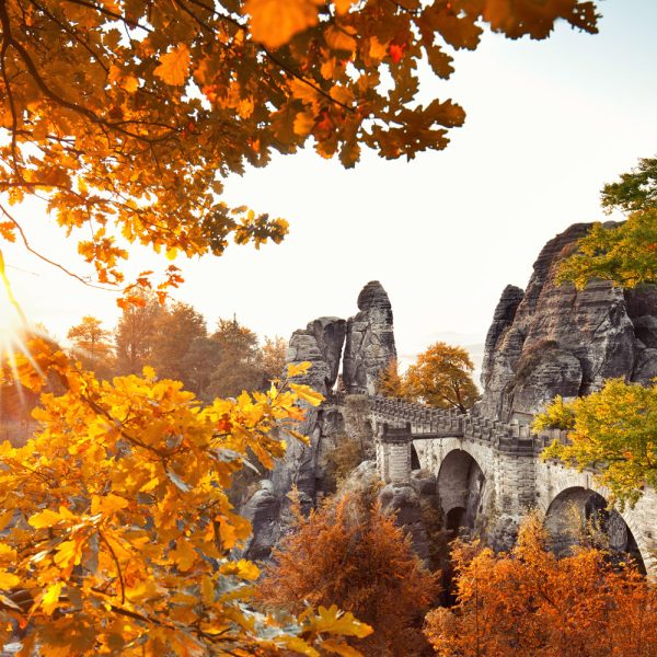 Busreise Erlebnis Sächsische Schweiz