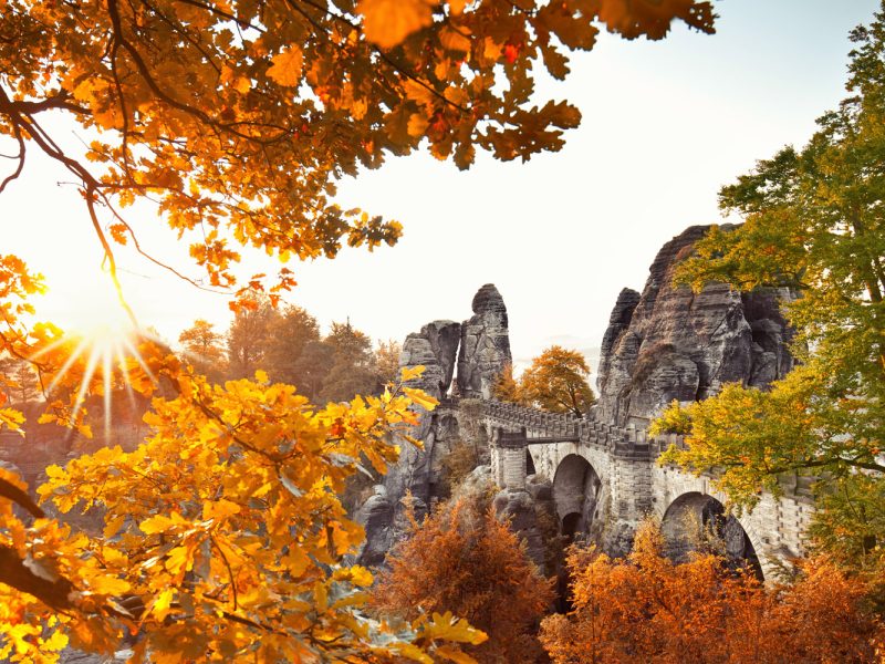 Busreise Erlebnis Sächsische Schweiz