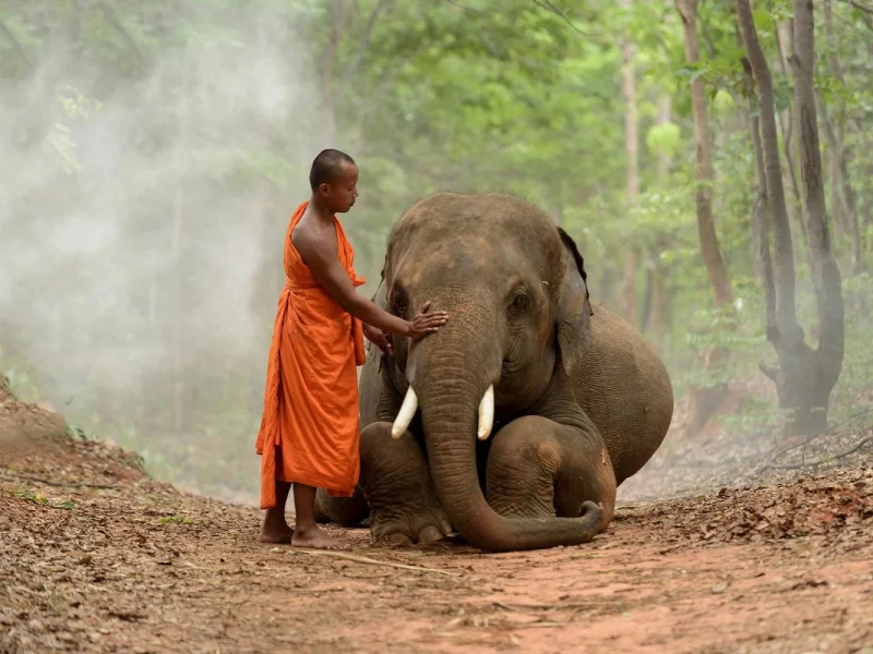 Große Rundreise über Vietnam, Laos und Kambodscha: Kambodscha