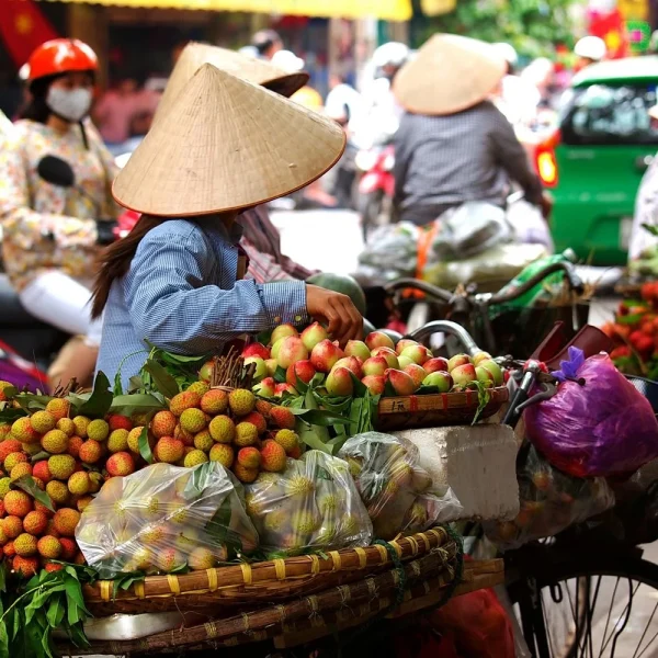 Große Rundreise über Vietnam, Laos und Kambodscha: Vietnam