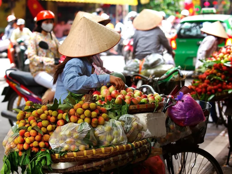 Große Rundreise über Vietnam, Laos und Kambodscha: Vietnam