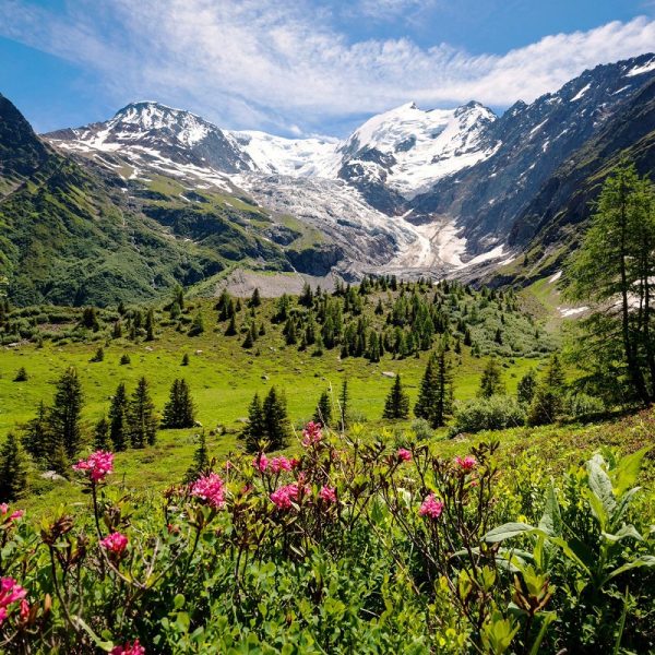 Erlebnis Mont Blanc und Genfer See: Mont Blanc