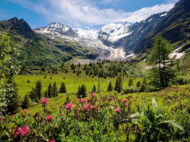 Erlebnis Mont Blanc und Genfer See: Mont Blanc