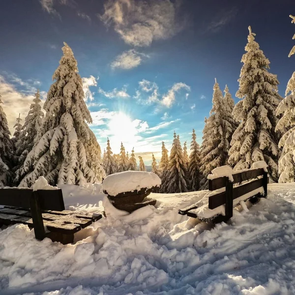 Adventszauber in Oberhof