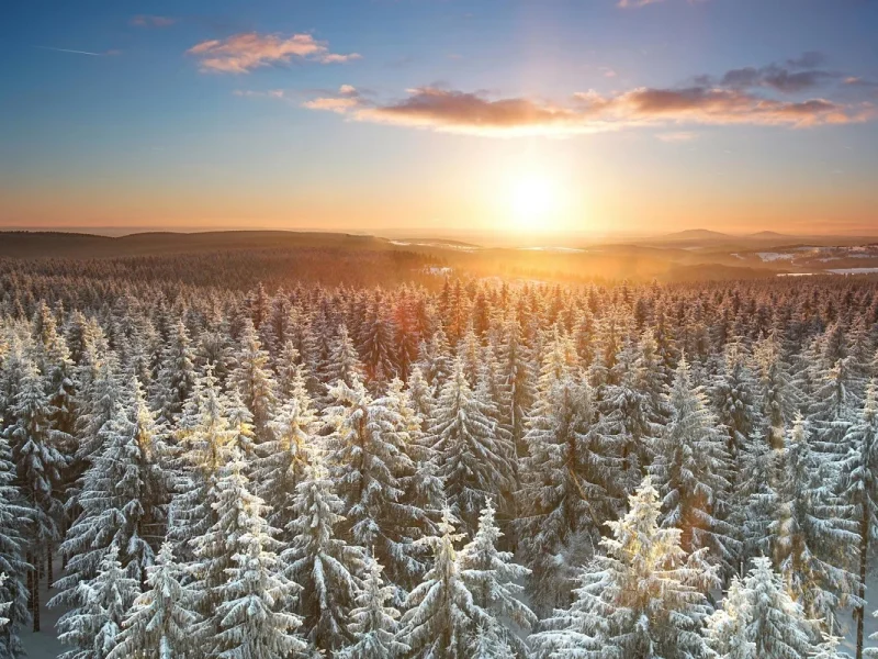Adventszauber in Oberhof