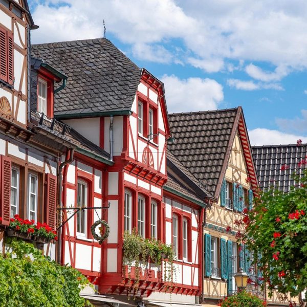 Busreise Ahrtal-Träume