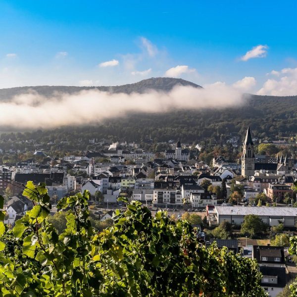 Busreise Ahrtal-Träume