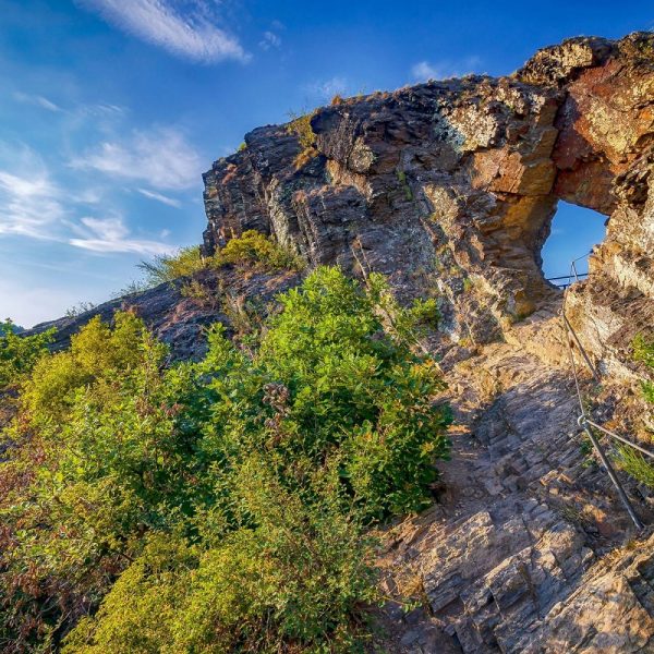 Busreise Ahrtal-Träume