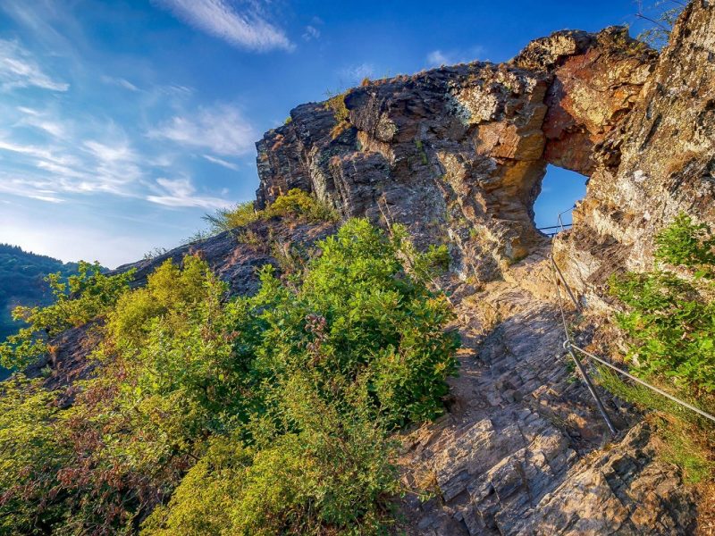 Busreise Ahrtal-Träume