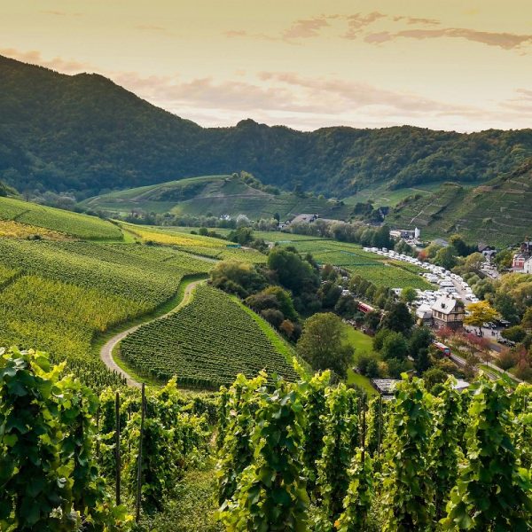 Busreise Ahrtal-Träume