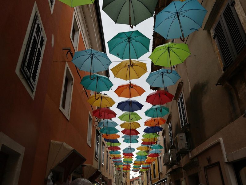 Paradies Halbinsel Istrien in Kroatien: Novigrad