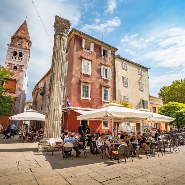 Mandarinenernte in Dalmatien