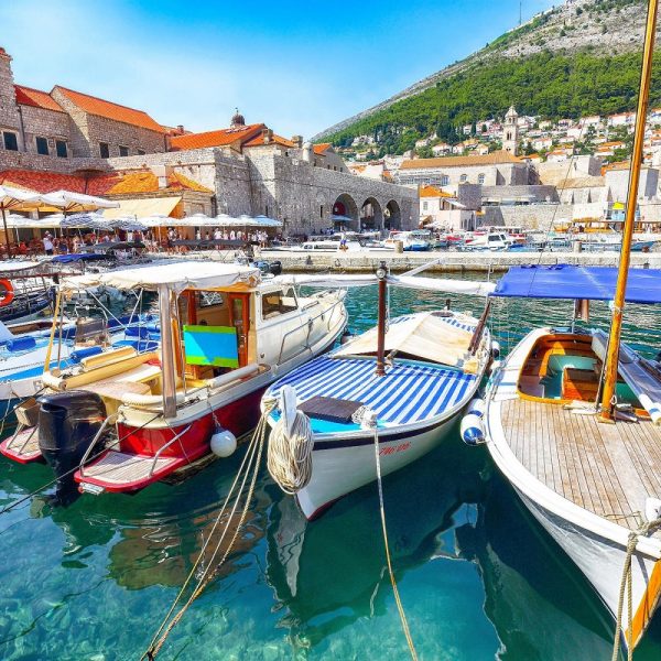 Mandarinenernte in Dalmatien: Dubrovnik