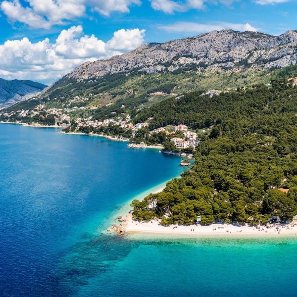 Mandarinenernte in Dalmatien: Makarska Riviera