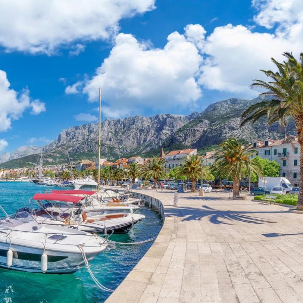 Mandarinenernte in Dalmatien: Makarska Riviera
