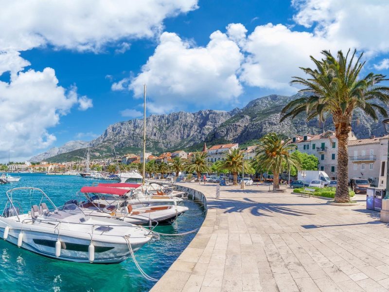 Mandarinenernte in Dalmatien: Makarska Riviera