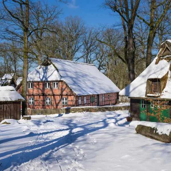 Busreise Advent in der Lüneburger Heide: Lüneburg