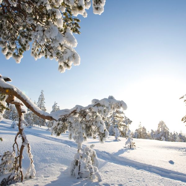 Busreise Finnische Winterträume