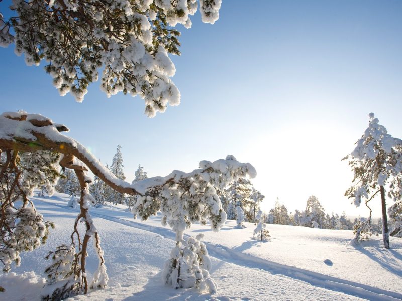 Busreise Finnische Winterträume