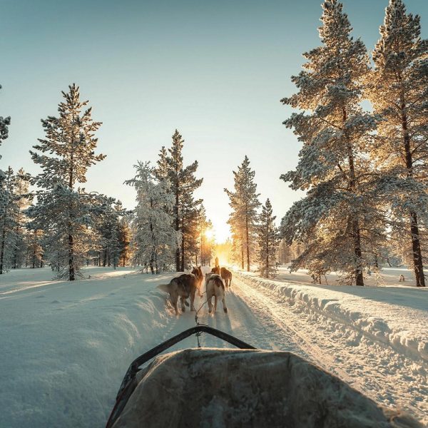 Busreise Finnische Winterträume