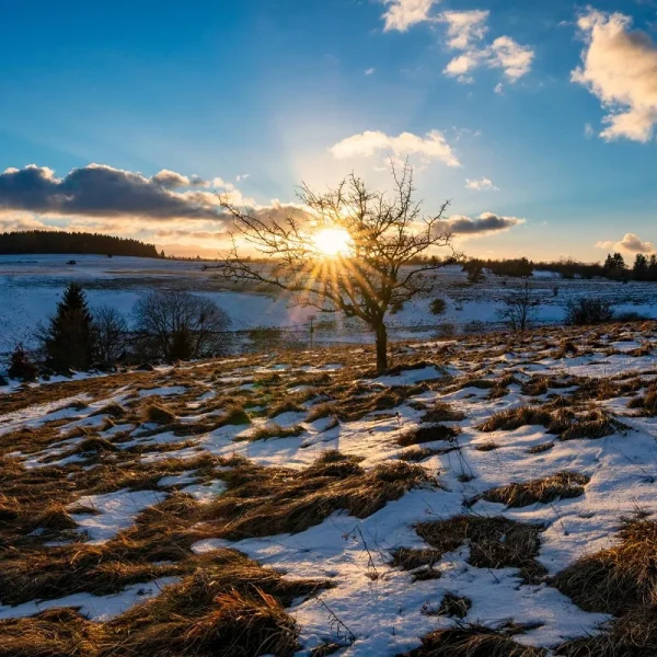 Busreise Silvester in Fulda - winterliche Rhön