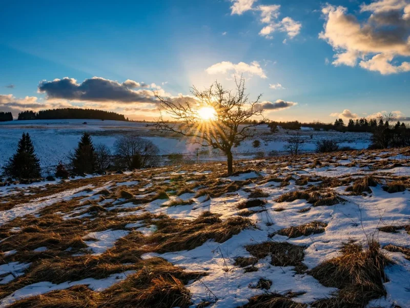 Busreise Silvester in Fulda - winterliche Rhön