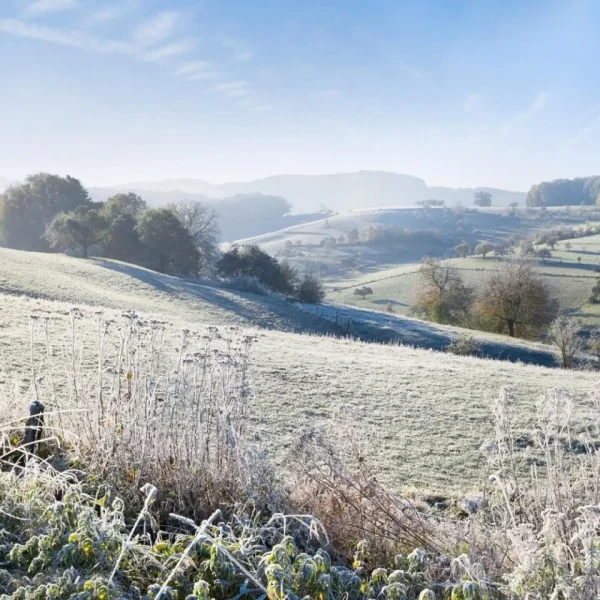 Zauberhafte Adventstage im Odenwald